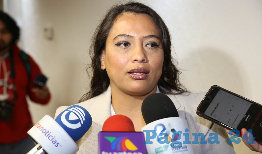 Erica Palomino Bernal, diputada local (Foto: Eddylberto Lu&eacute;vano Santill&aacute;n)