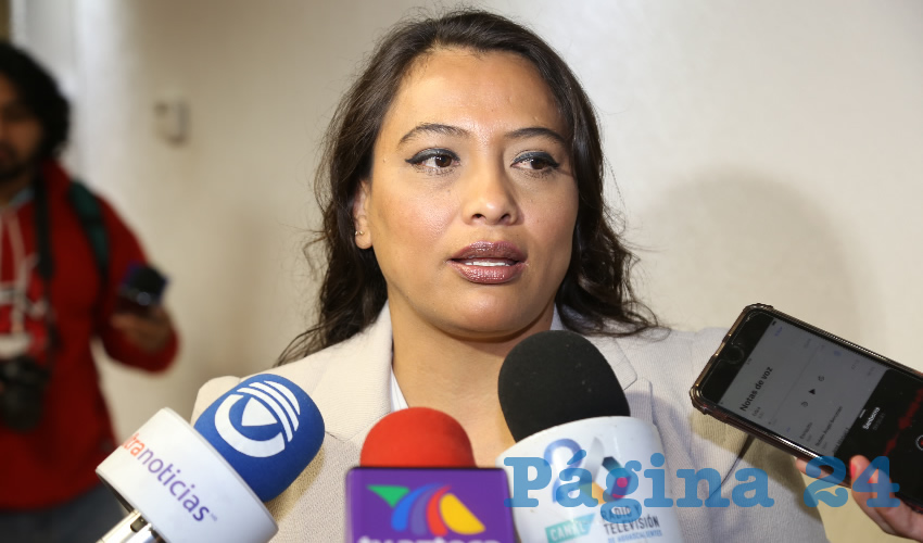 Erica Palomino Bernal, diputada local