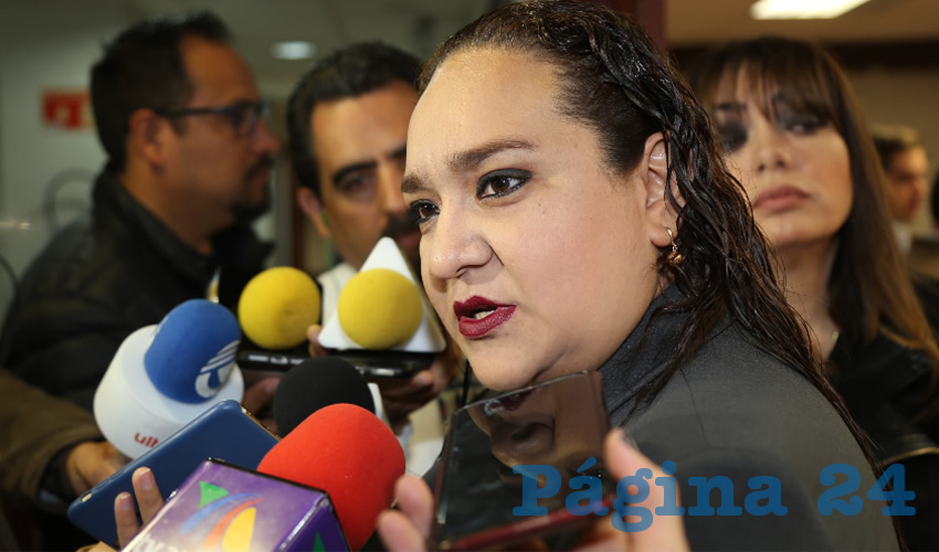 Natizielly Teresita Rodr&iacute;guez Calzada, diputada local (Foto: Eddylberto Lu&eacute;vano Santill&aacute;n)