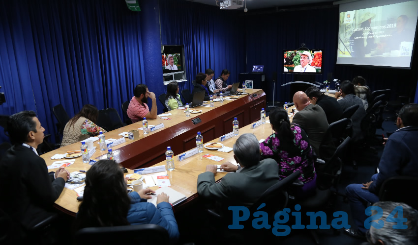 Videoconferencia del INEGI (Foto: Eddylberto Lu&eacute;vano Santill&aacute;n)