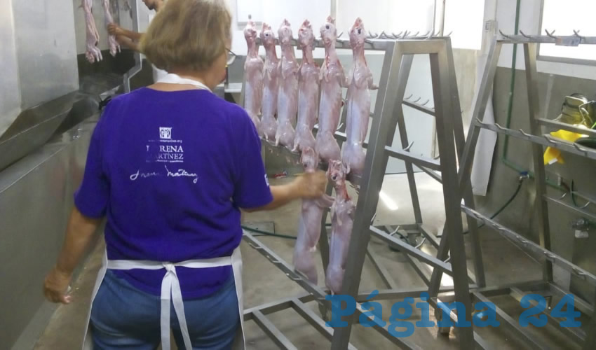 La carne de conejo tiene un valor entre 85 y 130 pesos el kilo y su mercado m&aacute;s importante est&aacute; en Asientos, San Jos&eacute; de Gracia y Aguascalientes