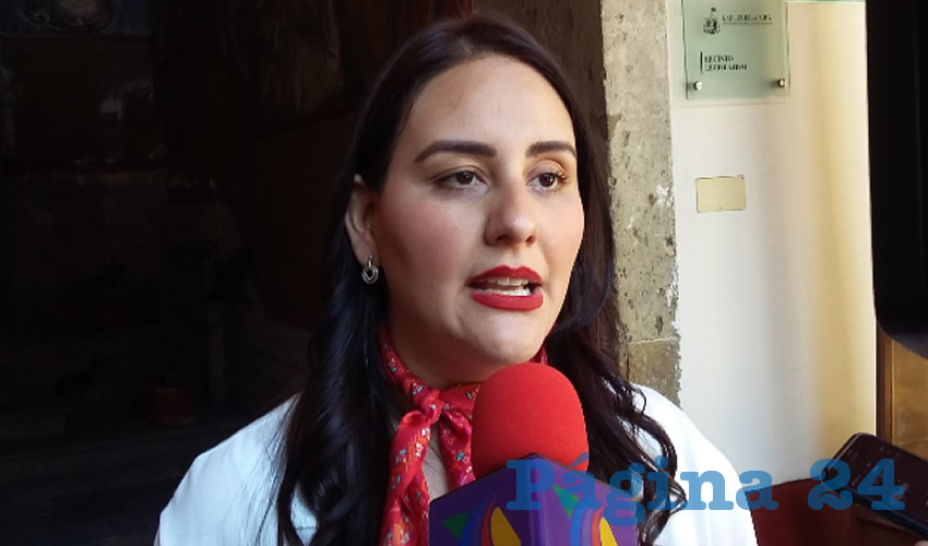 Mariana Fernández, diputada líder de la fracción parlamentaria tricolor en el Congreso del estado/Foto: Archivo Página 24