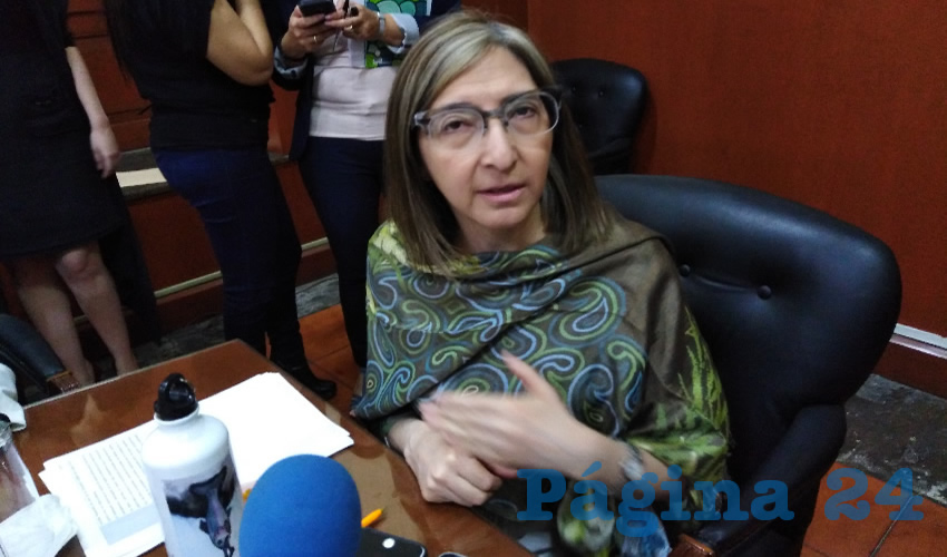 La diputada local de MC Mara Robles /Foto: Archivo Página 24