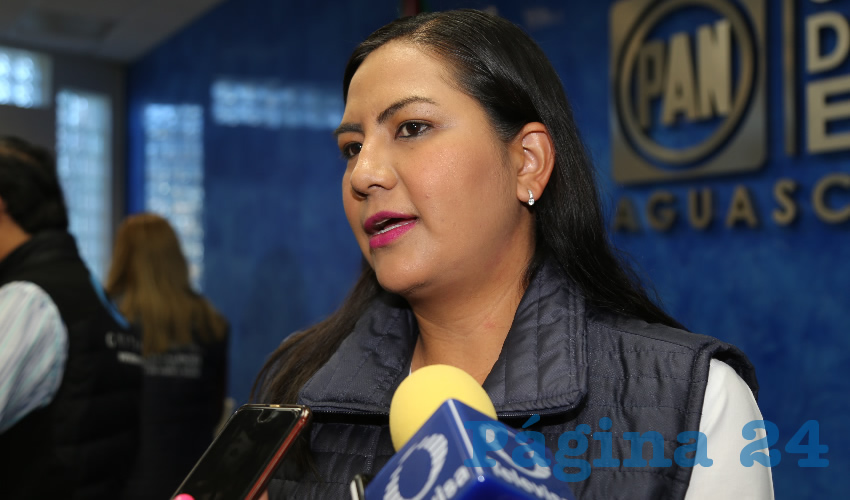 Claudia Guadalupe de Lira Beltr&aacute;n, diputada local (Foto: Eddylberto Lu&eacute;vano Santill&aacute;n)