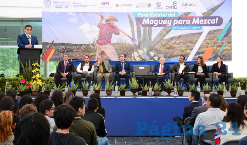 Los productores de mezcal se preparan para sacar todo el provecho posible del agave y ahora hasta servir&aacute; para crear medicamentos