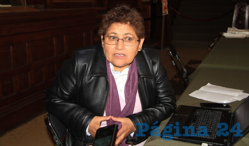 María Elena Ortega Cortés, integrante del Partido de la Revolución Democrática (PRD) y de diversas organizaciones en defensa de los derechos humanos (Foto Rocío Castro Alvarado)