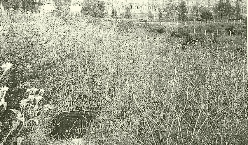 El delincuente Jos&eacute; Luis Vergara Silva guard&oacute; el cad&aacute;ver de su v&iacute;ctima en una maleta y la fue a tirar cerca de la colonia CNOP Oriente