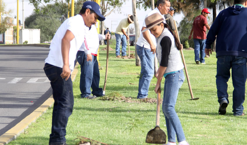 Las Tardes de Danzón se realizan los sábados a las 18:30 horas en el kiosco del tradicional Jardín de San Marcos