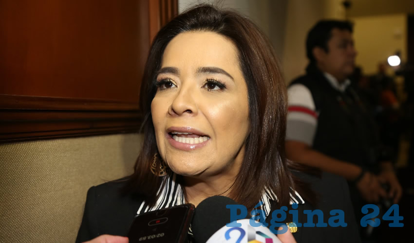 Elsa Amabel Landín Olivares, diputada local