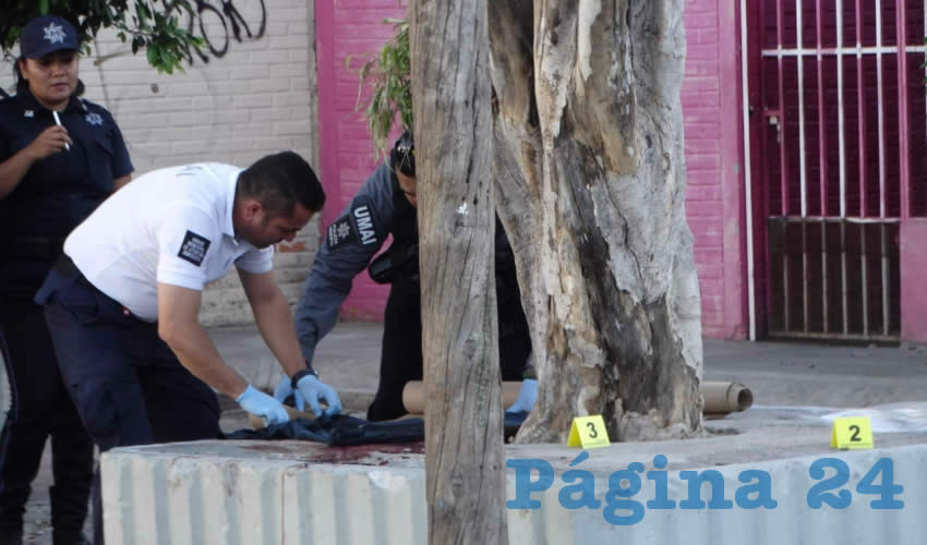 Los hampones agredieron a Jorge Daría Torre Tovar cuando descansaba en una jardinera