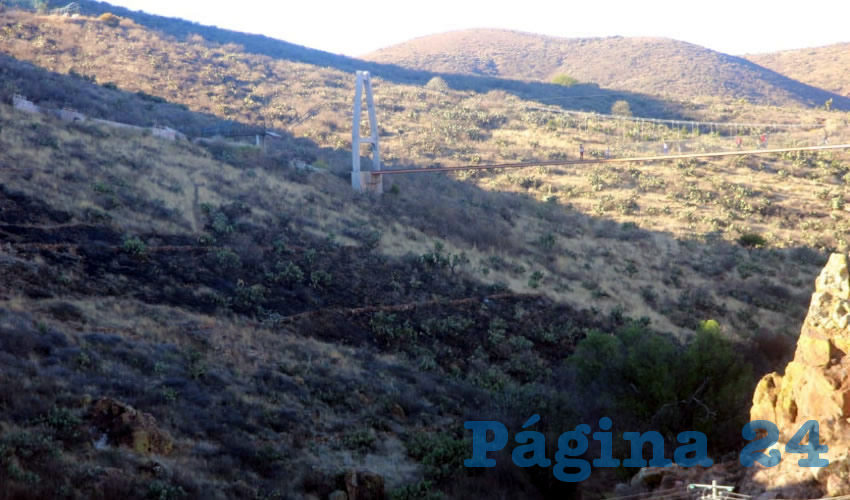 Jóvenes de Zacatecas buscan reforestar el Eco Parque Centenario, después de que el pasado jueves 7 de marzo por la noche se incendiaran alrededor de 20 hectáreas debido a un incendio provocado y del que ya se busca a los culpables (Foto Rocío Castro Alvarado)