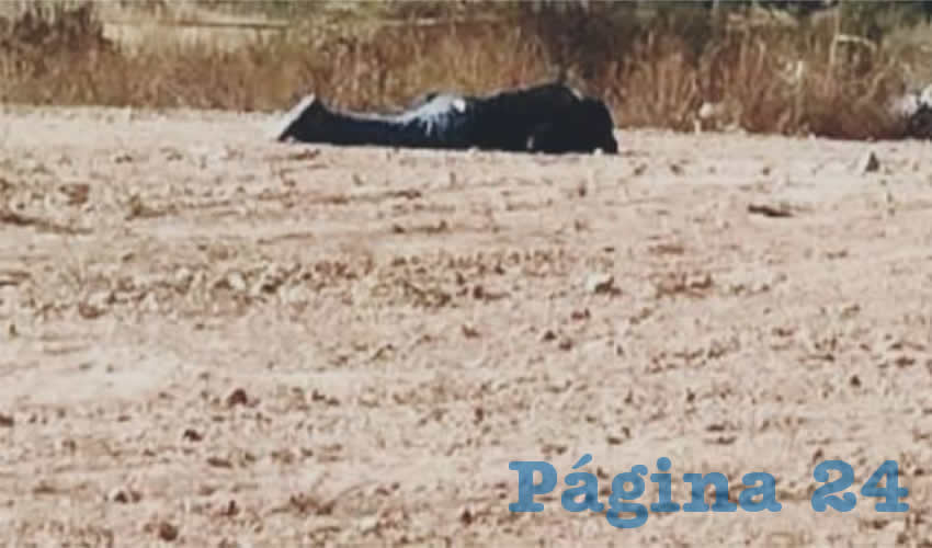 Este fue el cadáver que encontraron a un costado del conocido restaurante La Cabaña del Borrego