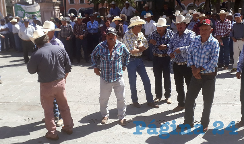 Se reunieron en el jardín Madero