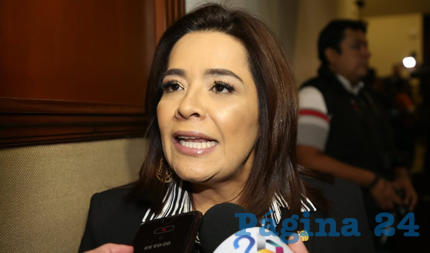 Elsa Amabel Landín Olivares, diputada local