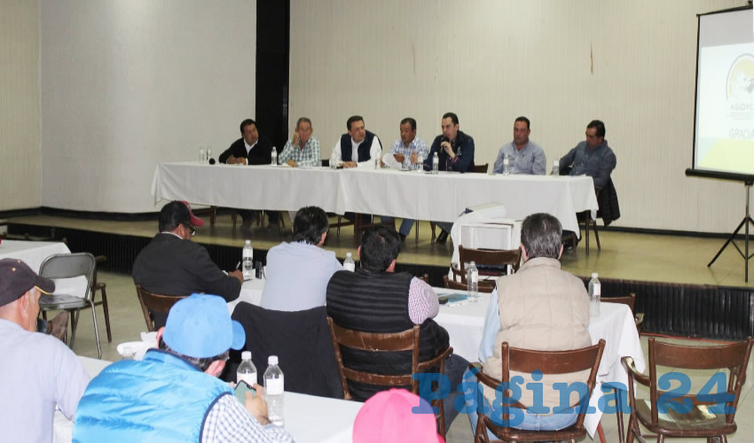 Productores de leche de cabra est&aacute;n trabajando para impulsar su producto tanto en quesos y cajetas