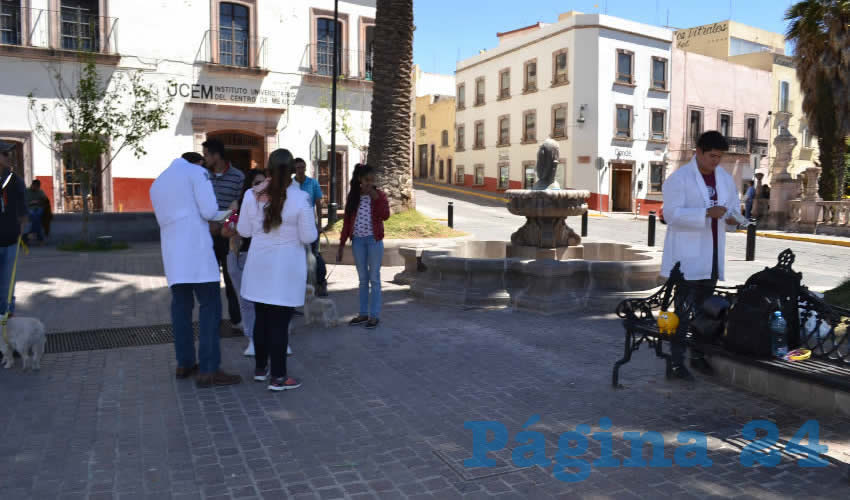 Ayer que inició la campaña en la zona metropolitana se registró gran afluencia de personas responsables que llevaron a sus mascotas a los puestos de vacunación que se instalaron (Foto Merari Martínez)