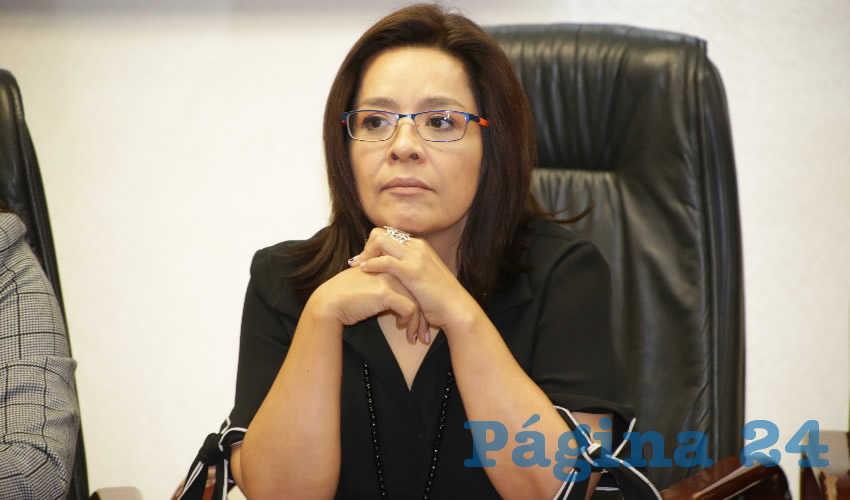Elsa Amabel Land&iacute;n Olivares, diputada local (Foto: Eddylberto Lu&eacute;vano Santill&aacute;n)