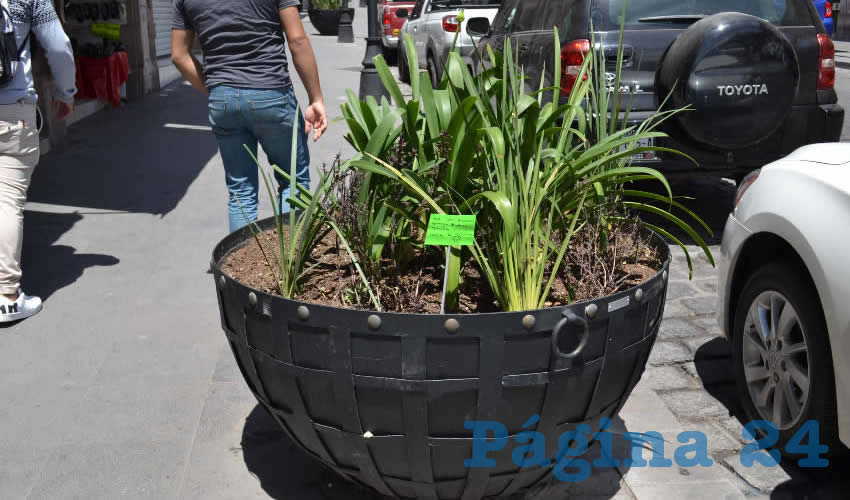 Es por esto que parte de la sociedad civil colocó al inicio de esta semana mensajes en hojas fosforescentes, para pedir a la población que respete la naturaleza (Foto Merari Martínez)