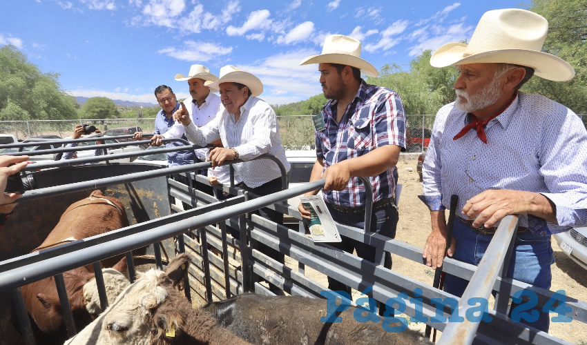 El coordinador federal de Ganadería detalló que el programa sigue abierto a nuevas solicitudes y que hay buenas perspectivas para la comercialización, pues las embajadas de diversos países han buscado a las autoridades federales, para revisar los mecanismos de exportación de carne mexicana
