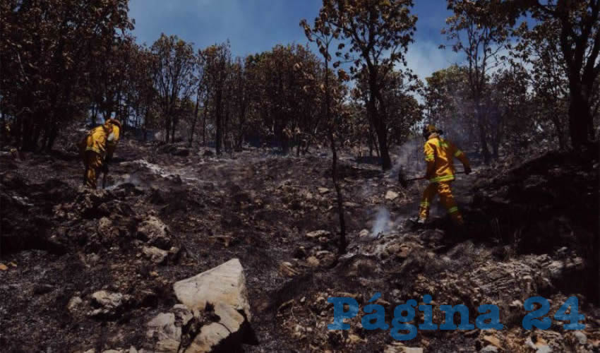 Fue gracias a la ardua labor de cientos de elementos de decenas de dependencias municipales, estatales y federales que se pudo contener el voraz incendio/Fotos: Twitter @EnriqueAlfaro