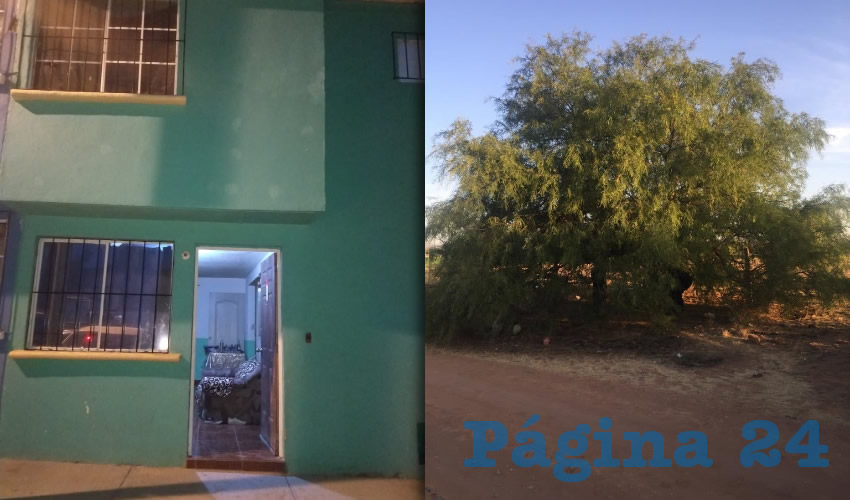 El suicidio 44 ocurrió en una casa del fraccionamiento Arboledas de Paso Blanco y el segundo en un árbol en Estación de Chora