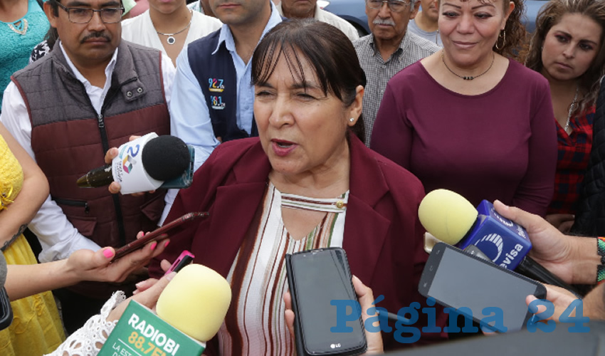 Hortencia Sánchez Galván, integrante de la Comisión Nacional de Elecciones del CEN de Morena (Foto: Eddylberto Luévano Santillán)