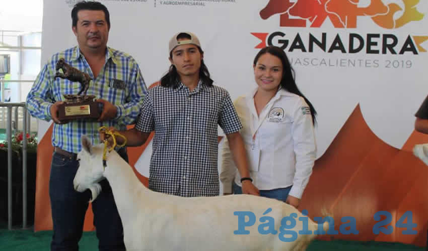 llev&oacute; a cabo el concurso de la cabra m&aacute;s lechera