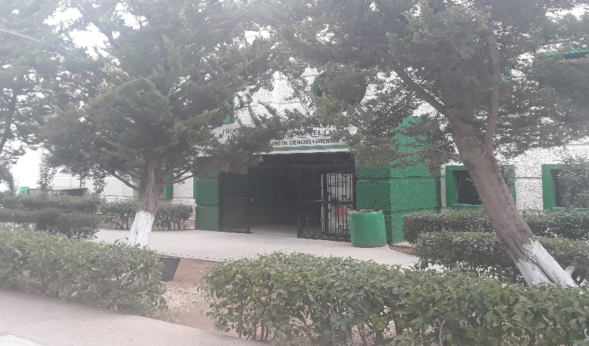 El cadáver fue trasladado al Semefo