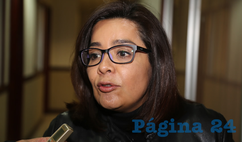 Elsa Amabel Land&iacute;n Olivares, diputada local (Foto: Archivo)