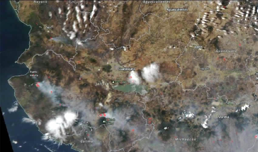 Tres cuartas partes del suelo del planeta están afec­tadas por el impacto de la actividad humana