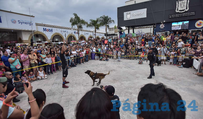 Se integraron células multifuncionales para cubrir todo el perímetro ferial y atender los diversos reportes
