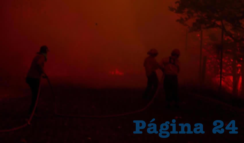 Nueva conflagración en las inmediaciones del bosque La Primavera, esta vez en la zona de Pinar de la Venta, donde alrededor de 250 elementos de Protección Civil, Semadet y Conafor trabajan incansablemente por extinguirlo (Foto: Especial)