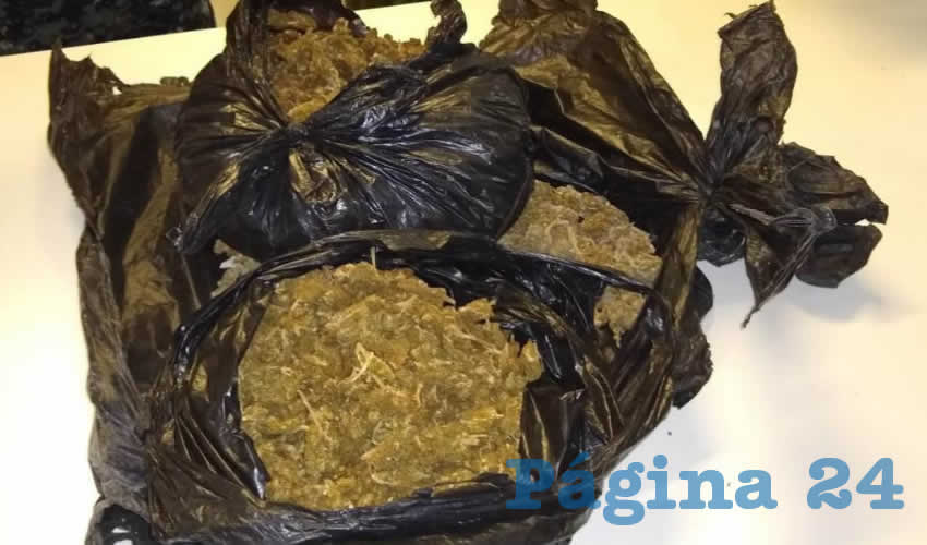 El kilo y medio de mariguana que llevaba José Manuel “N” “N” “El Mane”