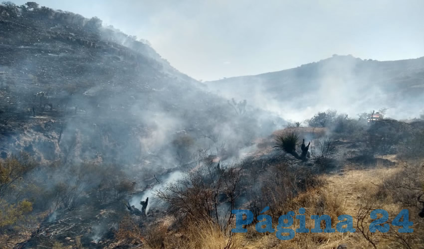 Las autoridades han contenido el incendio en una cañada del cerro Los Gavilanes