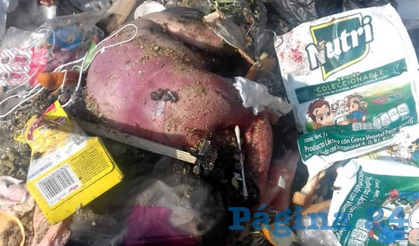 En un depósito de basura del fraccionamiento Villa Montaña, fue arrojada la indefensa víctima