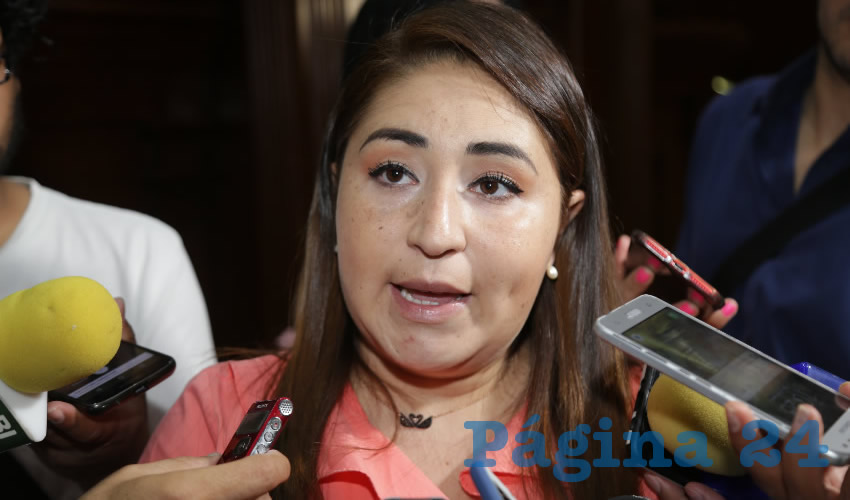 Paloma Am&eacute;zquita Carre&oacute;n urge a la Fiscal&iacute;a para que encuentre a la peque&ntilde;a perdida que sali&oacute; de una casa hogar (Foto: Eddylberto Lu&eacute;vano Santill&aacute;n)