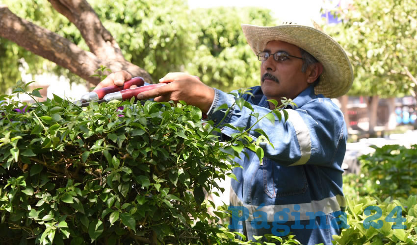 Adem&aacute;s del trabajo de jardiner&iacute;a, agregan coloridos dise&ntilde;os como carretas, bicicletas y mariposas hechas de materiales reciclados