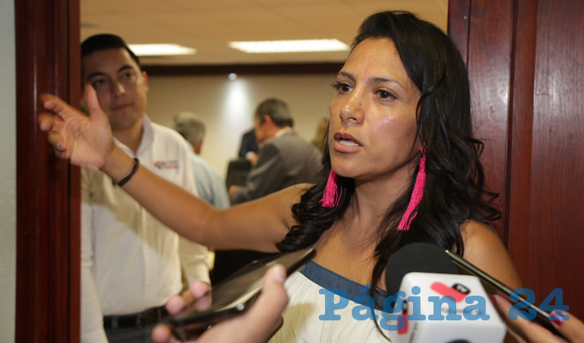 Diputada Karina Banda Iglesias, diputada local (Foto: Eddylberto Lu&eacute;vano Santill&aacute;n)