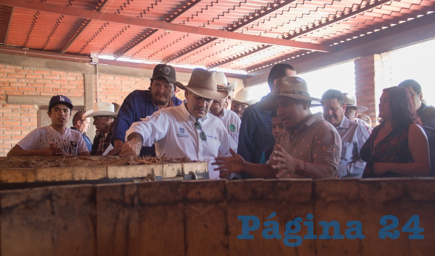Se debe seguir el impulso para que en más tierras se plante el maguey, se puedan generar nuevos empleos y se eleve la calidad de vida de las familias