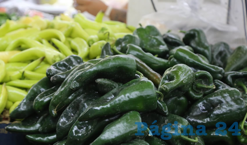 Aguascalientes mantiene su tradición como productor de chile (Foto: Eddylberto Luévano Santillán)