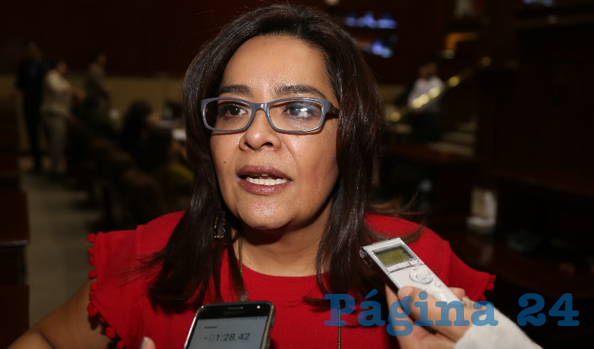 Elsa Amabel Landín Olivares, diputada local (Foto: Archivo)