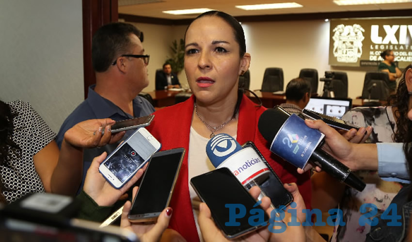 Elsa Luc&iacute;a Armend&aacute;riz Silva, diputado local (Foto: Eddylberto Lu&eacute;vano Santill&aacute;n)
