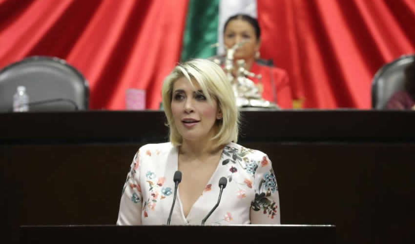Norma Guel Saldívar, diputada federal (Foto: Archivo)