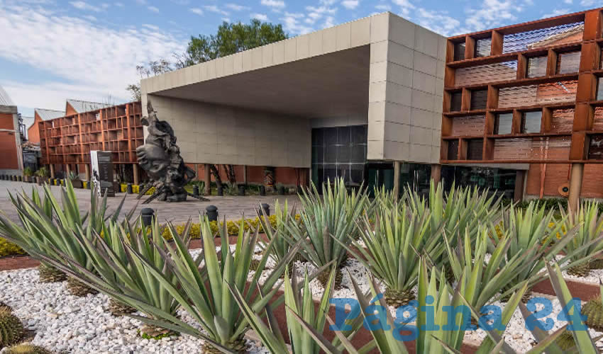 La afluencia turística representa un nicho de oportunidades para el sector de la hotelería estatal, de manera que puedan fortalecer la calidad de sus servicios