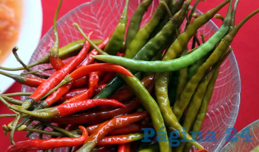 A los productores de chile de Aguascalientes no les interesa la denominaci&oacute;n de origen