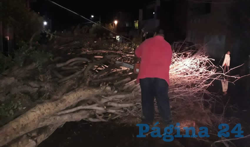 Se puso en marcha el operativo de limpieza en calles, avenidas y pasos a desnivel para retirar la basura y desechos que se acumularon