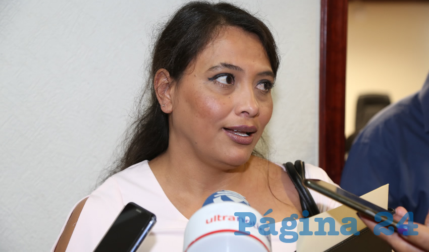 Erica Palomino Bernal, diputada