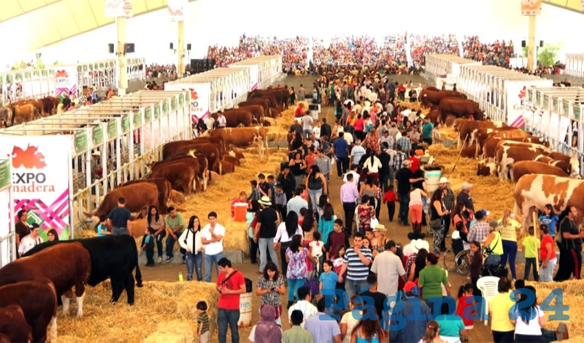 En la pasada Feria Nacional de San Marcos se promovi&oacute; que los ganaderos que trajeran sus mejores sementales a exposici&oacute;n dejaran muestras (Foto: Archivo)