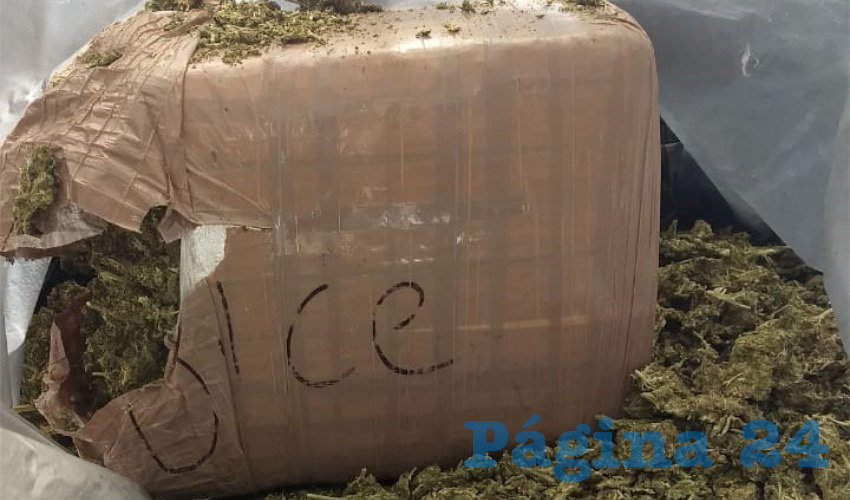 Parte de la droga que tenía en su poder Issac Noé “N” “N”, de 20 años