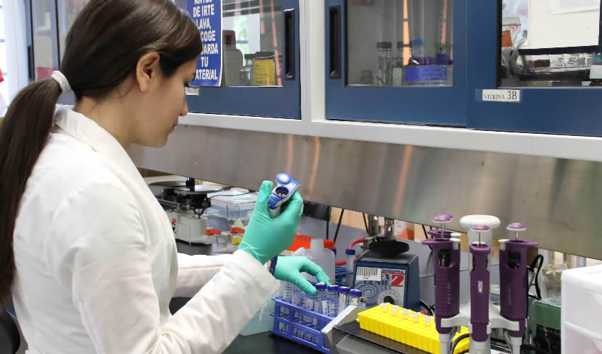El 70 por ciento del n&uacute;cleo acad&eacute;mico b&aacute;sico est&aacute; conformado por profesores investigadores del Sistema Nacional de Investigadores (SNI)